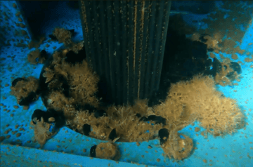 Challenges in Underwater Applications