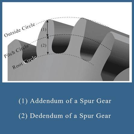 Addendum and Dedendum of a Spur Gear