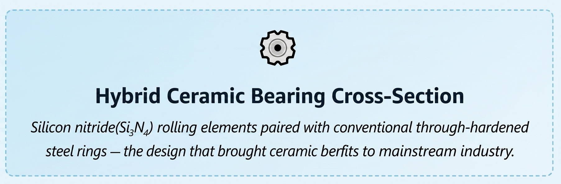 Hybrid Ceramic Bearing Cross-Section