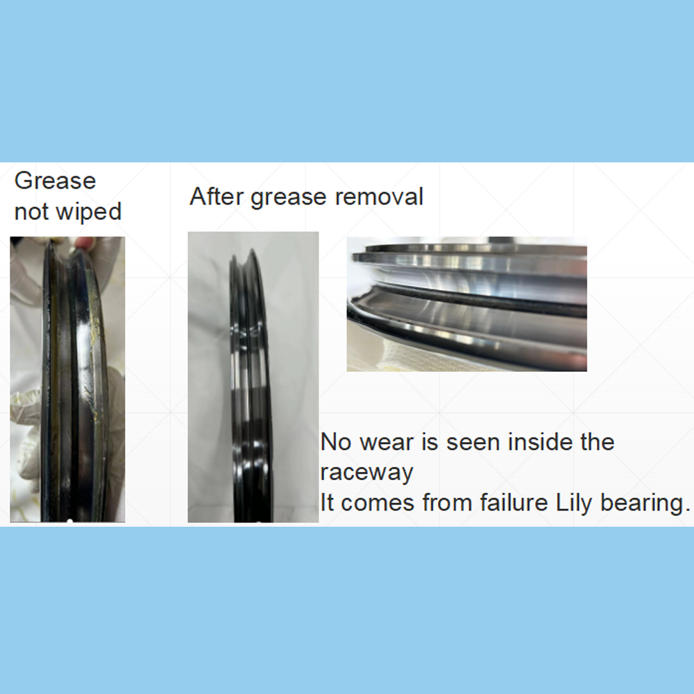 Inner Ring Raceway of a Failure Lily Bearing