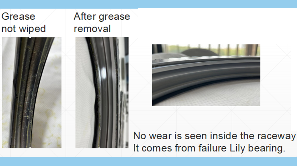 Outer Ring Raceway of a Failure (Lily Bearing)