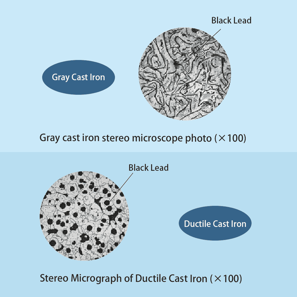 Stereo microscope comparison of gray cast iron flake graphite and ductile cast iron spheroidal graphite at 100x magnification