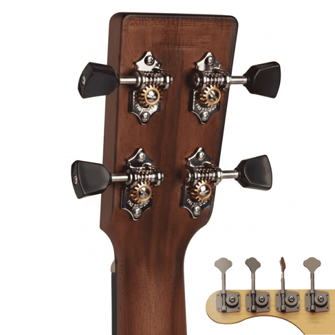 Worm Gears for Instrument Tuning