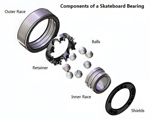 Components of a Skateboard Bearing