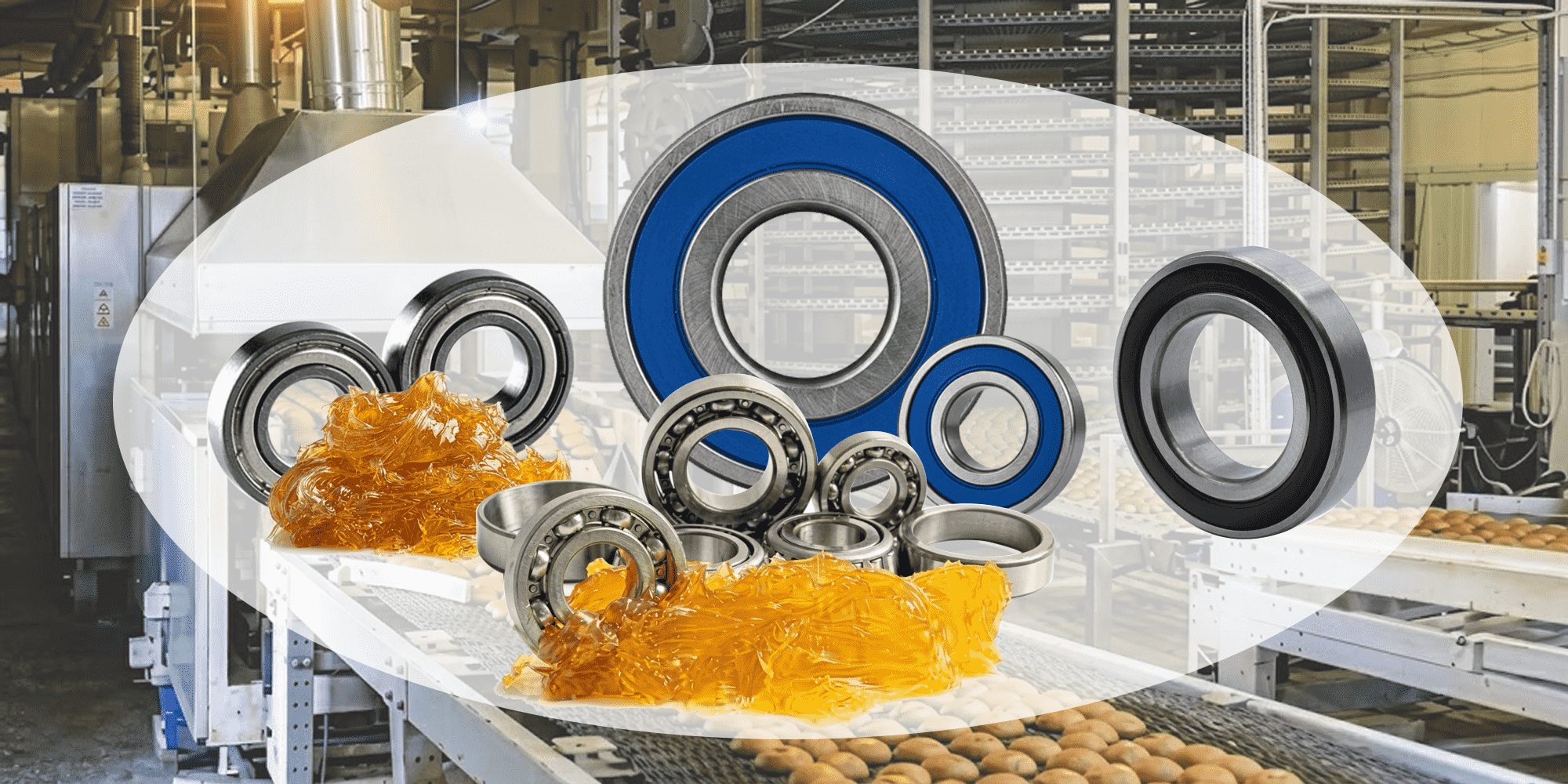 Juntas de rodamientos de acero inoxidable y lubricación para entornos hostiles