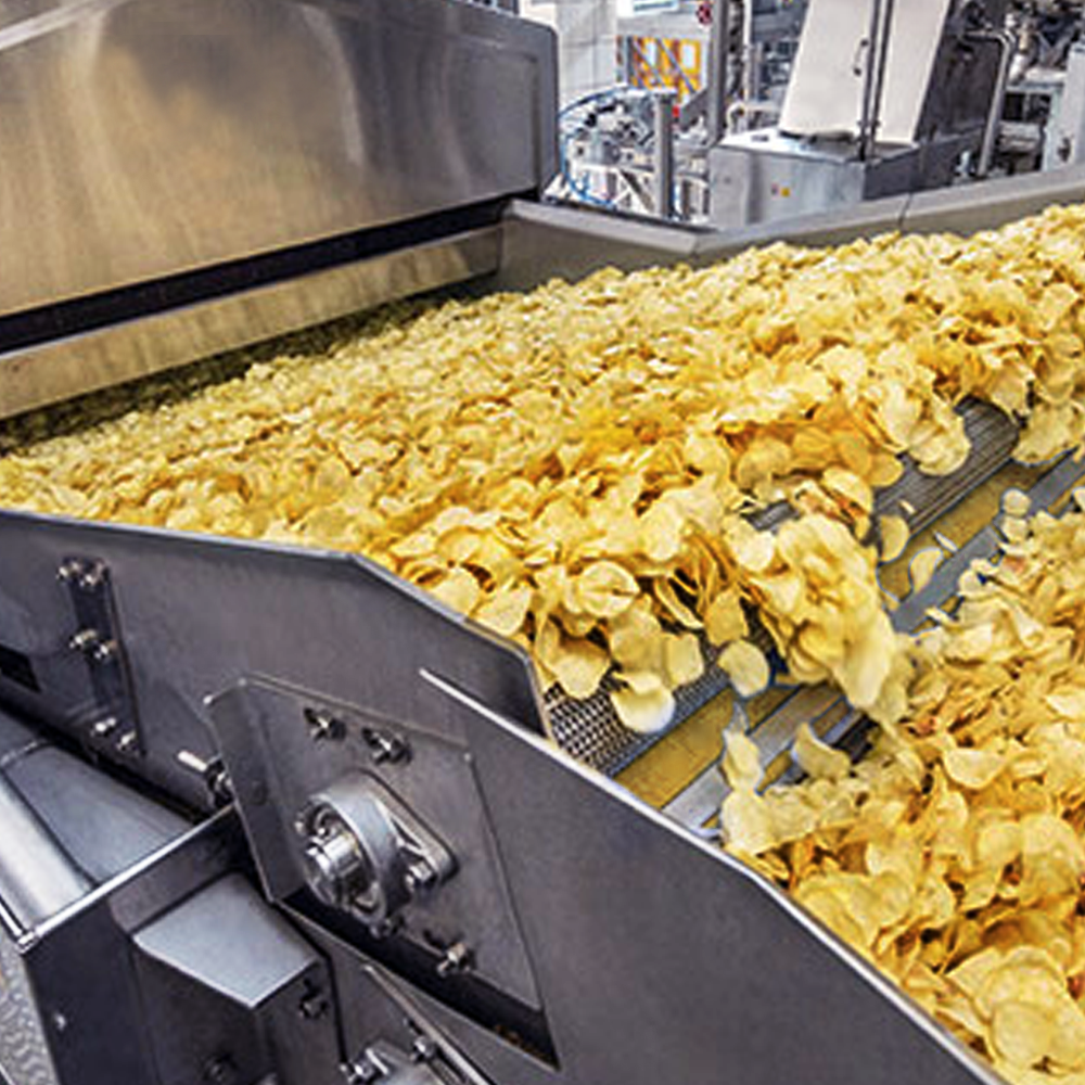 Pillow block bearings in food processing